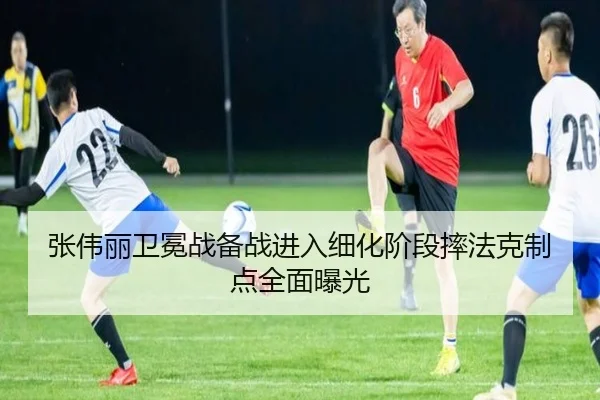 张伟丽卫冕战备战进入细化阶段摔法克制点全面曝光 - MangoSport